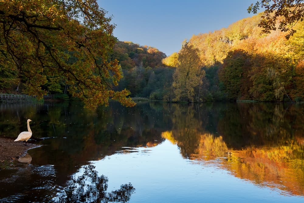 Natur o Landskap